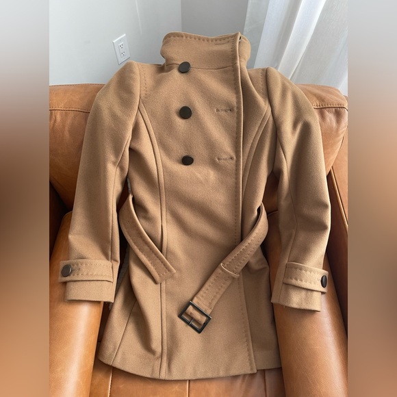 ARITZIA BABATON Double Breasted Virgin Wool & Cashmere Coat - Picture 1 of 5